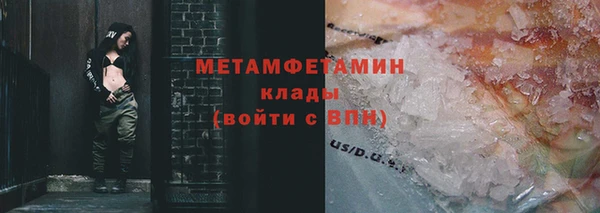 гидра Арсеньев