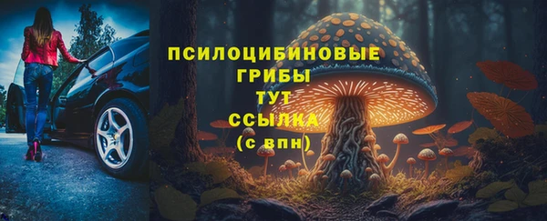 мет Аркадак